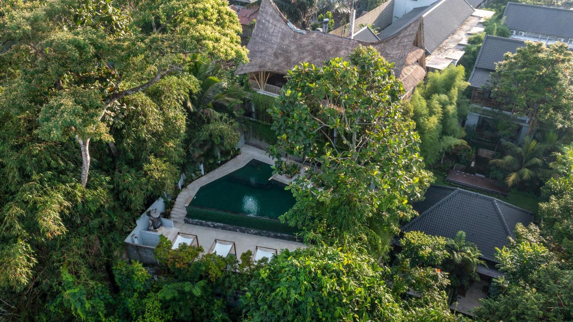 Dinara Ubud Zewnętrze zdjęcie